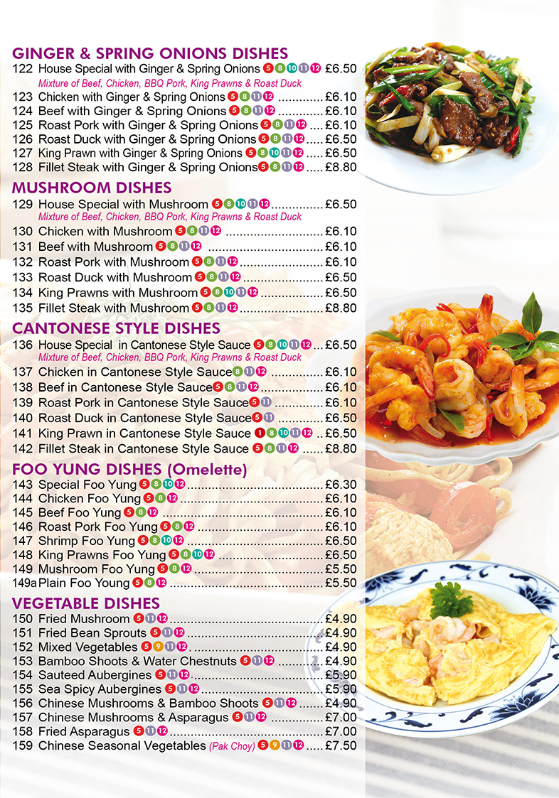 VIEW MENU Dragon Palace Take Away Christchurch